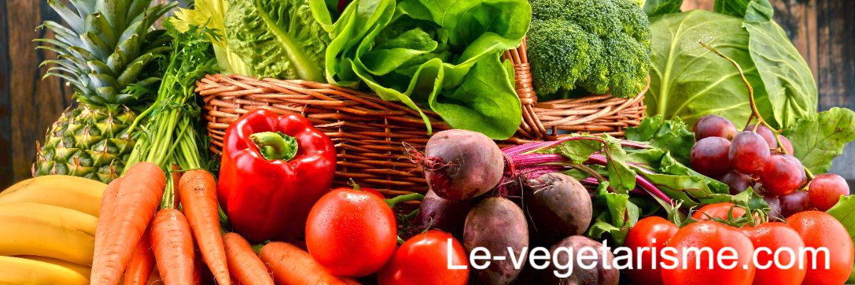 le-vegetarisme.lorraine-modelisme.com